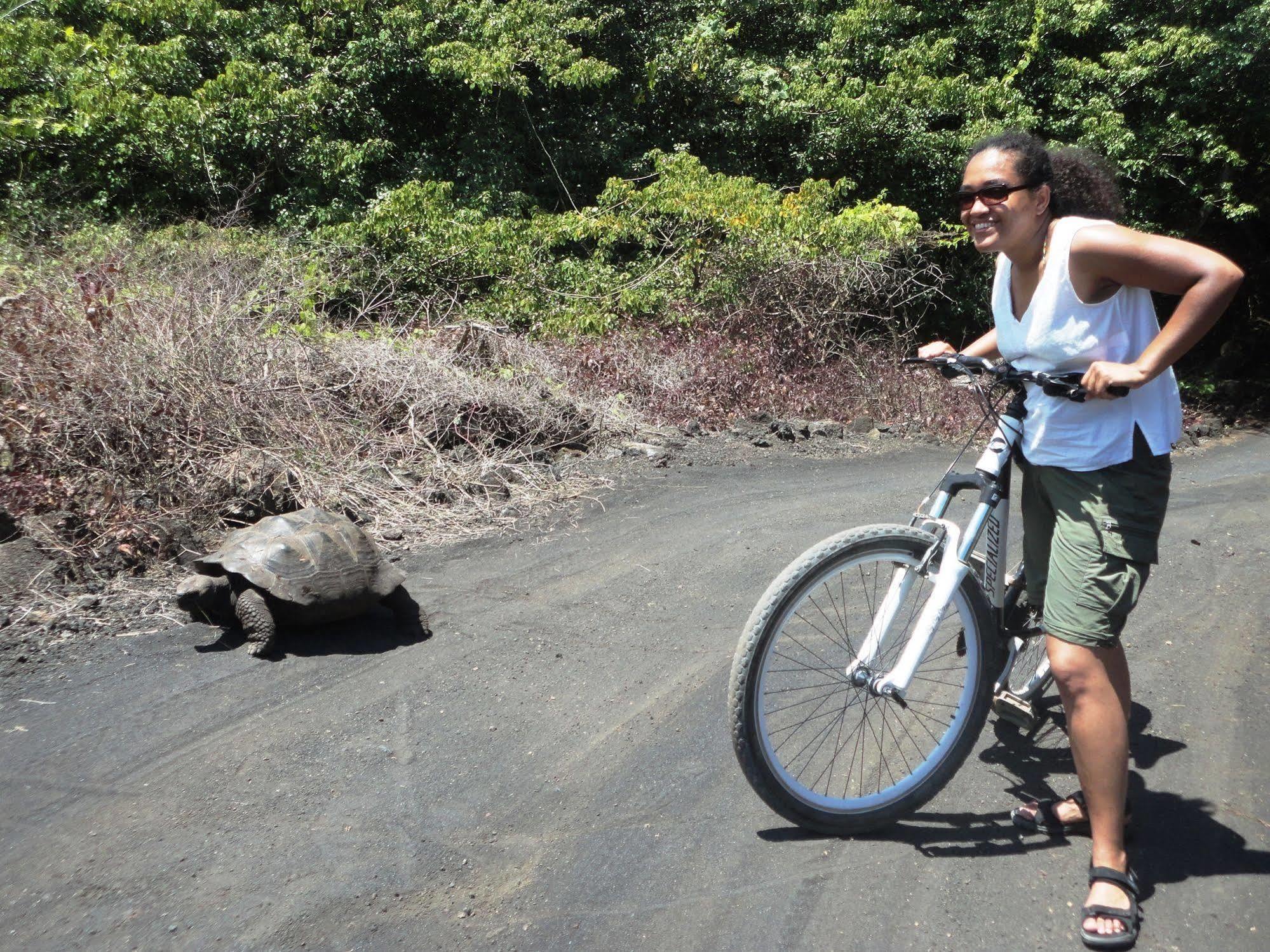 Iguana Crossing Boutique Hotel Puerto Villamil Exteriér fotografie